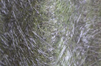 Shermanbury fibreglass roof work